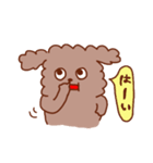 トイプードルのまめたろう（個別スタンプ：19）