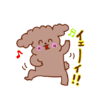 トイプードルのまめたろう（個別スタンプ：29）