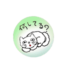 私は猫です。ご挨拶をいたします。（個別スタンプ：19）