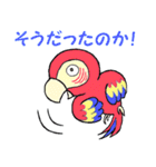 コンゴウインコ君（個別スタンプ：2）