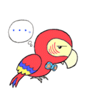 コンゴウインコ君（個別スタンプ：5）