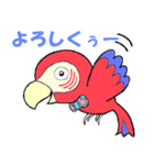 コンゴウインコ君（個別スタンプ：12）