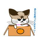 怒りん坊ネコのう〜子さん（個別スタンプ：29）