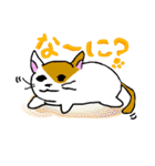 だるネコ＆スわん（個別スタンプ：1）