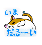 だるネコ＆スわん（個別スタンプ：3）