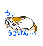 だるネコ＆スわん（個別スタンプ：7）