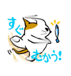 だるネコ＆スわん（個別スタンプ：9）