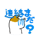 だるネコ＆スわん（個別スタンプ：12）