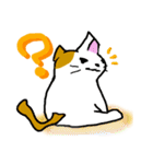 だるネコ＆スわん（個別スタンプ：13）