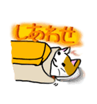 だるネコ＆スわん（個別スタンプ：16）