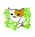 だるネコ＆スわん（個別スタンプ：17）