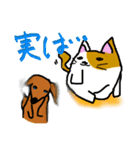 だるネコ＆スわん（個別スタンプ：18）