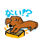 だるネコ＆スわん（個別スタンプ：21）