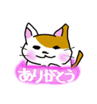 だるネコ＆スわん（個別スタンプ：40）