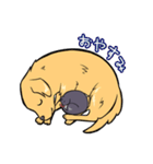 ねこわんこの恋愛日常（個別スタンプ：40）