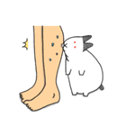 Fatty in the house（個別スタンプ：37）