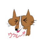 コーギー大好き（個別スタンプ：3）