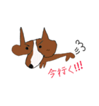 コーギー大好き（個別スタンプ：24）