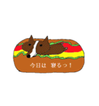 コーギー大好き（個別スタンプ：40）
