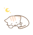 ぽかぽかねこ（個別スタンプ：2）