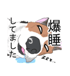 あるコーギーのスタンプ（個別スタンプ：14）