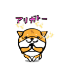 丸犬（個別スタンプ：3）