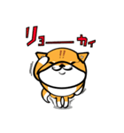 丸犬（個別スタンプ：7）