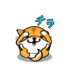 丸犬（個別スタンプ：9）