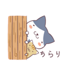 ハチワレとトラの日常（個別スタンプ：1）