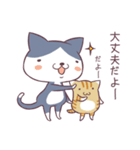 ハチワレとトラの日常（個別スタンプ：8）