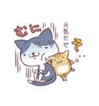 ハチワレとトラの日常（個別スタンプ：13）