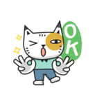 LOL CAT（個別スタンプ：16）