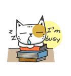 LOL CAT（個別スタンプ：31）