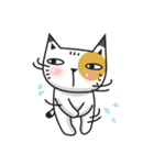 LOL CAT（個別スタンプ：36）