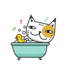 LOL CAT（個別スタンプ：37）