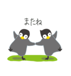 双子ペンギンPea ＆ Cheeのゴルフ（個別スタンプ：40）
