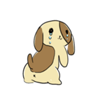 こいぬのぴぬ！（個別スタンプ：18）