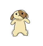 こいぬのぴぬ！（個別スタンプ：19）