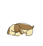 こいぬのぴぬ！（個別スタンプ：23）