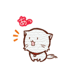 にゃんにゃんです。（個別スタンプ：13）