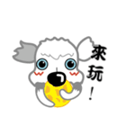 Carzy Dog-Old English Sheepdog（個別スタンプ：5）