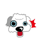 Carzy Dog-Old English Sheepdog（個別スタンプ：11）