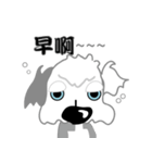 Carzy Dog-Old English Sheepdog（個別スタンプ：15）