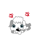 Carzy Dog-Old English Sheepdog（個別スタンプ：17）