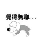 Carzy Dog-Old English Sheepdog（個別スタンプ：20）