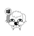 Carzy Dog-Old English Sheepdog（個別スタンプ：25）