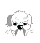 Carzy Dog-Old English Sheepdog（個別スタンプ：36）