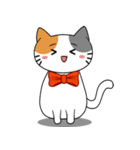 Bubu Cat（個別スタンプ：5）