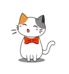 Bubu Cat（個別スタンプ：8）