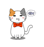 Bubu Cat（個別スタンプ：12）